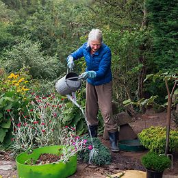 Woman gardening