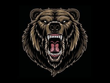 Bear Illustration