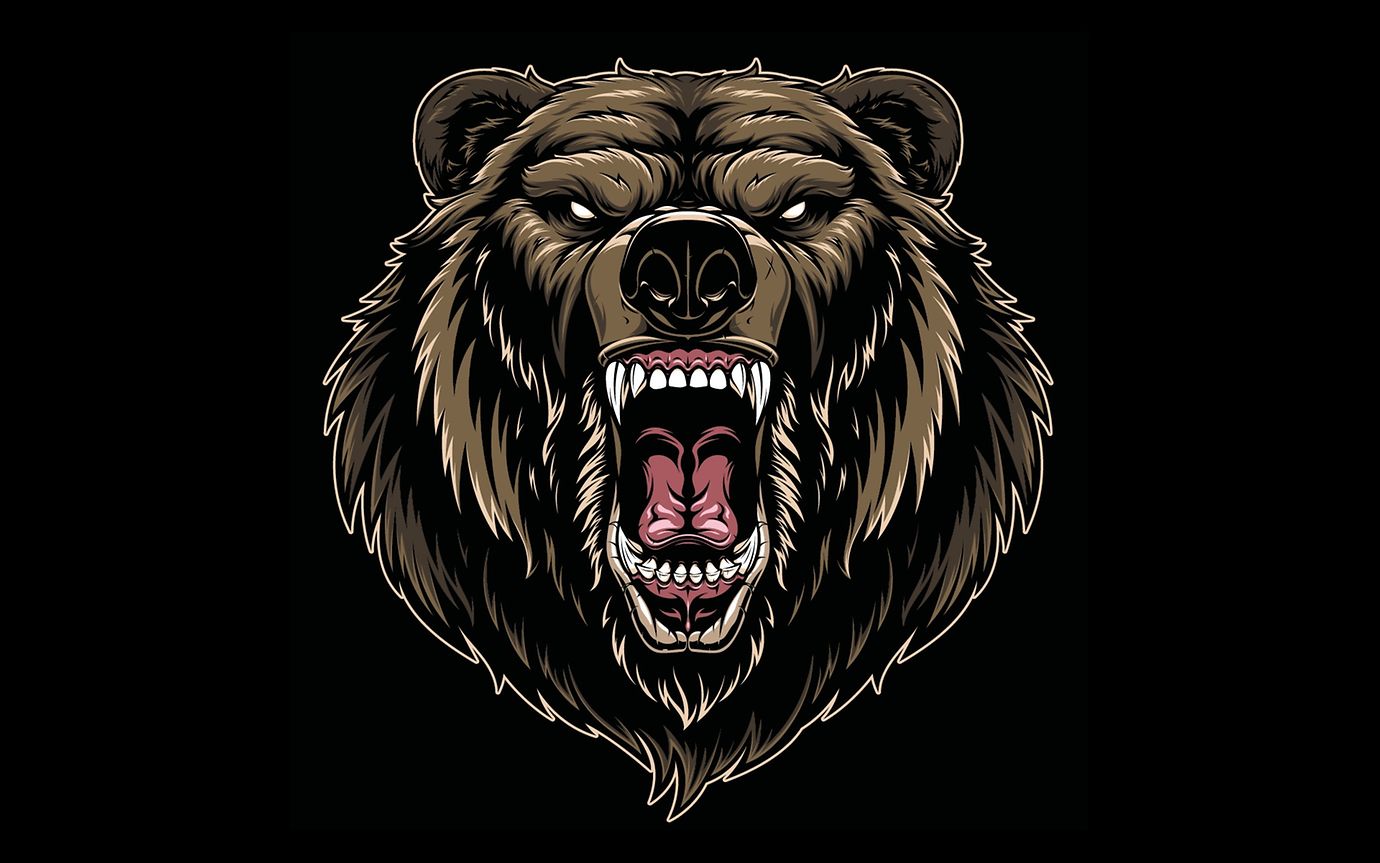 Bear Illustration