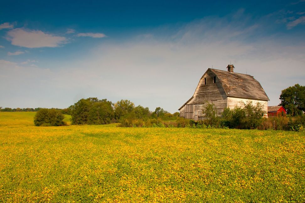 Eine Scheune inmitten einer landwirtschaftlich geprägten Umgebung