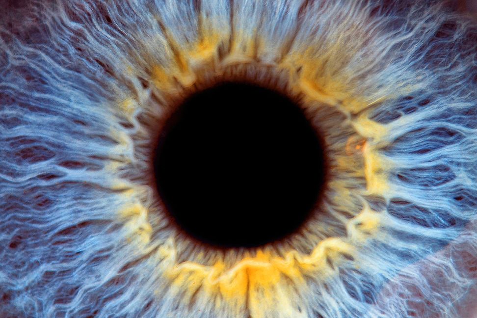 Close up of eye iris