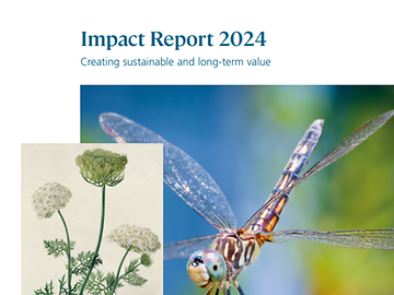 Impact report 2024