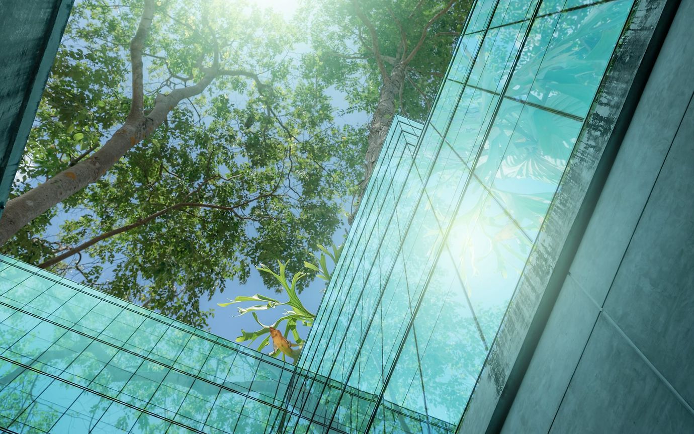 Courtyard of a building with a view of a tree and the sky