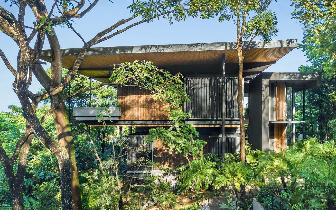 A modern two-storey wooden house nestled in a jungle-like forest, peacefully bathed in morning light.