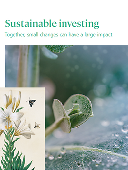 Sustainable investing brochure