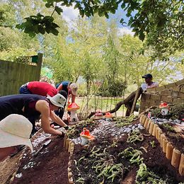 LGT staff volunteering in Demelza's hospice garden in Kent