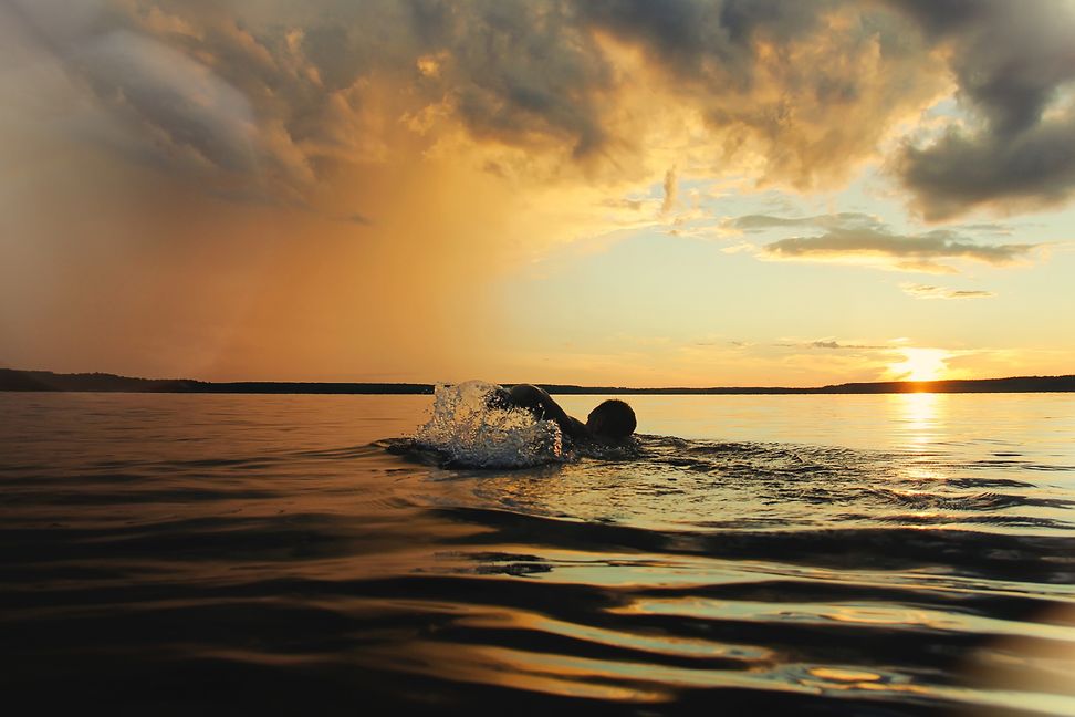 Swimming at sunset