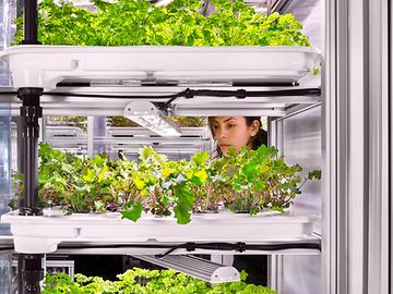 Infarm urban vertical farming